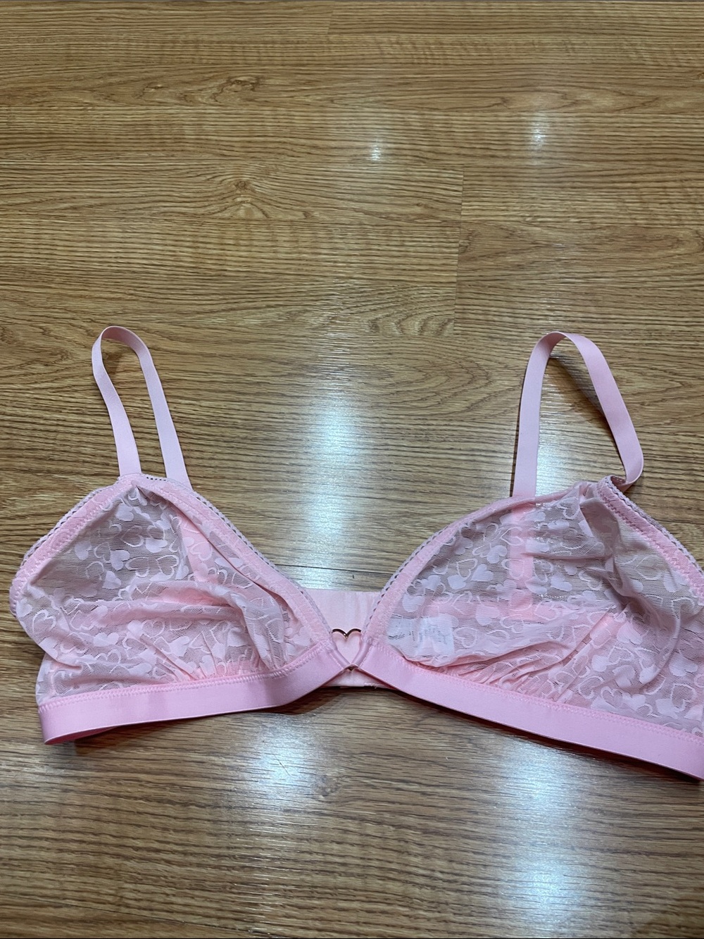 aerie Pink Sheer Lace Triangle Bralette